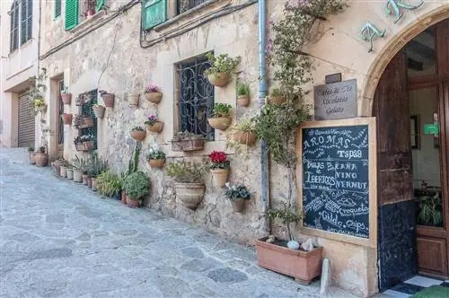 где остановиться на Майорке