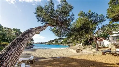 где остановиться на Майорке