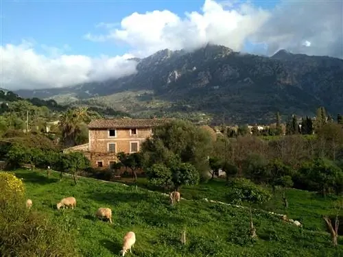 лучшее загородное жилье на Майорке