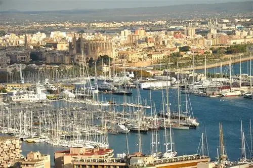 Что посмотреть и чем заняться в Пальма-де-Майорке за один день