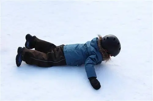 катание на санках по барселоне