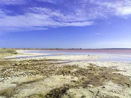 Вино, птицы и захватывающие пейзажи солончаков Торревьехи (Аликанте)