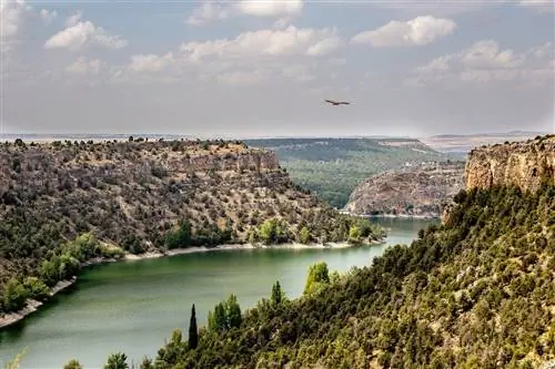 лучшие отели в сельской местности в Сеговии