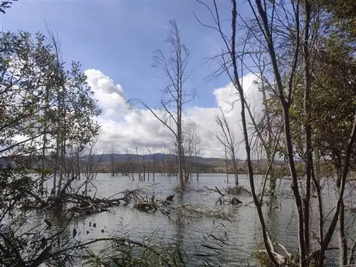Лагуна Падул, самое важное и красивое водно-болотное угодье Гранады