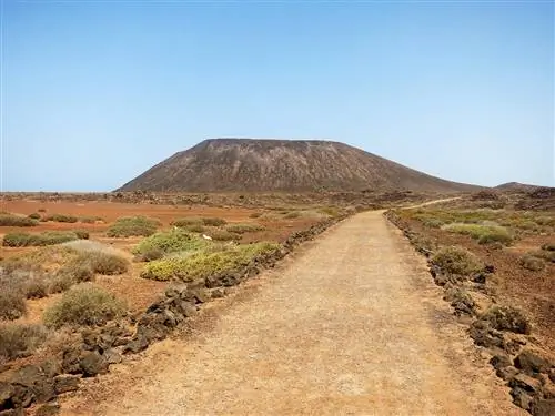 Волчий остров