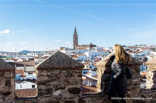 Панорама Херес-де-лос-Кабальерос]