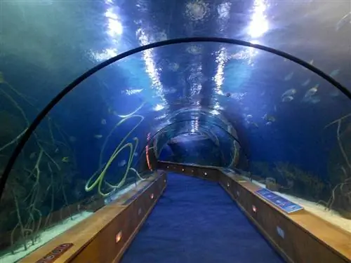 океанография Валенсии