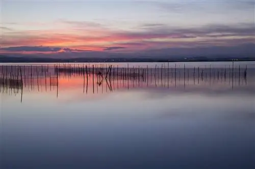 Альбуфера де Валенсия что посмотреть в Валенсии
