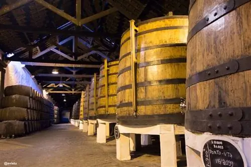 что делать в Порту