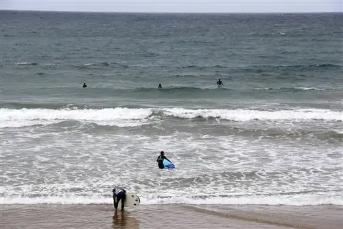 Канарский маршрут