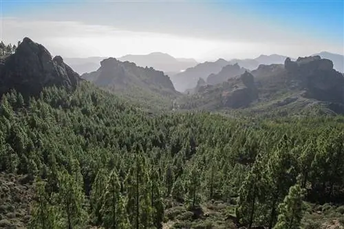 Автомобильный маршрут Гран-Канарии