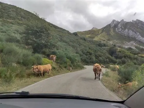 заметные озера