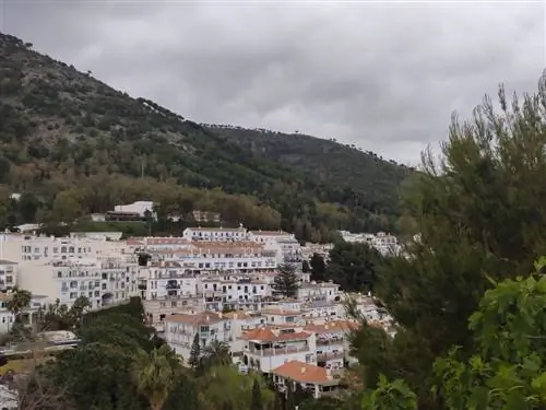 где остановиться в Михасе