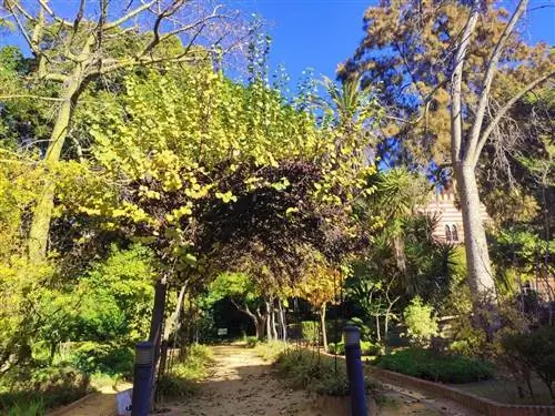 что посмотреть в Санлукар де Баррамеда