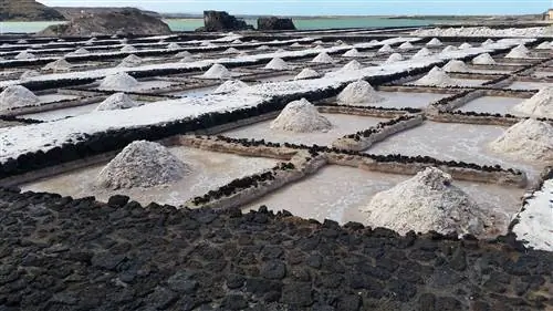 Солончаки Джанубио, Лансароте