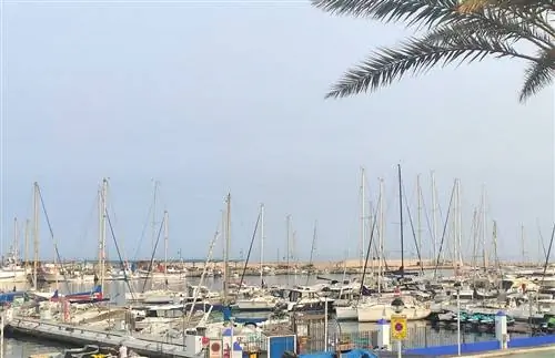 что делать в Эстепоне