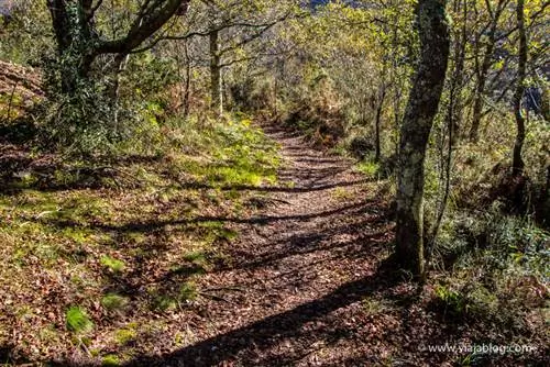 Начало маршрута водопадов Чиойо в Астурии