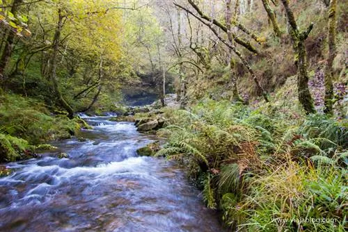 Река Порсия, маршрут водопадов Сойо в Астурии