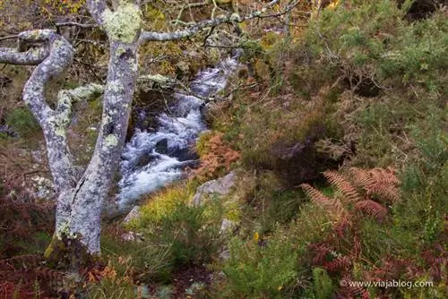 Река Порсия над водопадом Сойо в Астурии