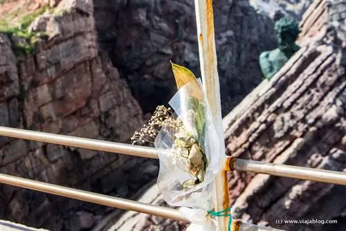 Цветы на смотровой площадке, Музей якоря Филиппа Кусто, Кастрильон, Астурия