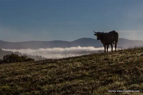 Компания на маршруте Мон, Оскос Эо, Астурия