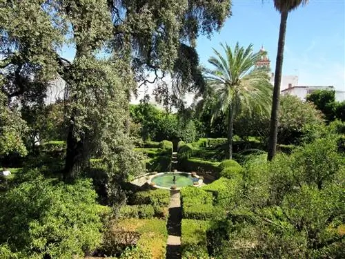 посетить дворец Виана