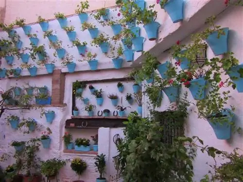 патио Кордовы