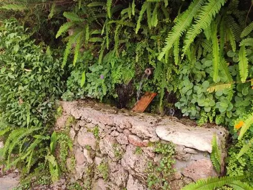 что посмотреть истан