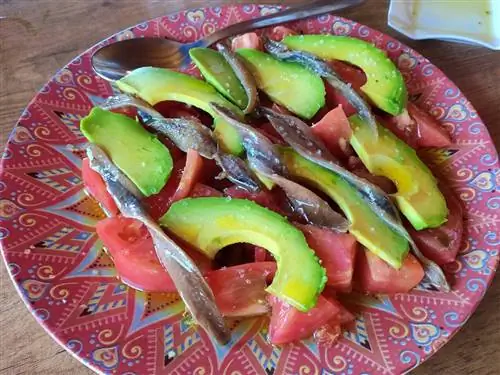 что есть истан