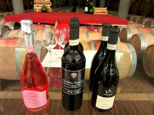 винодельня-Зени