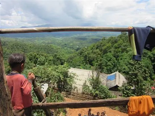 виды-Кентунг