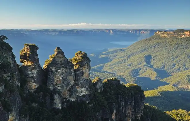Изучение древнего искусства кустарной медицины, Австралия