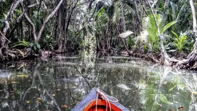 Индийская река, Доминика