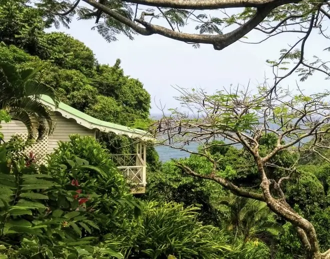 Бо Рив, Доминика