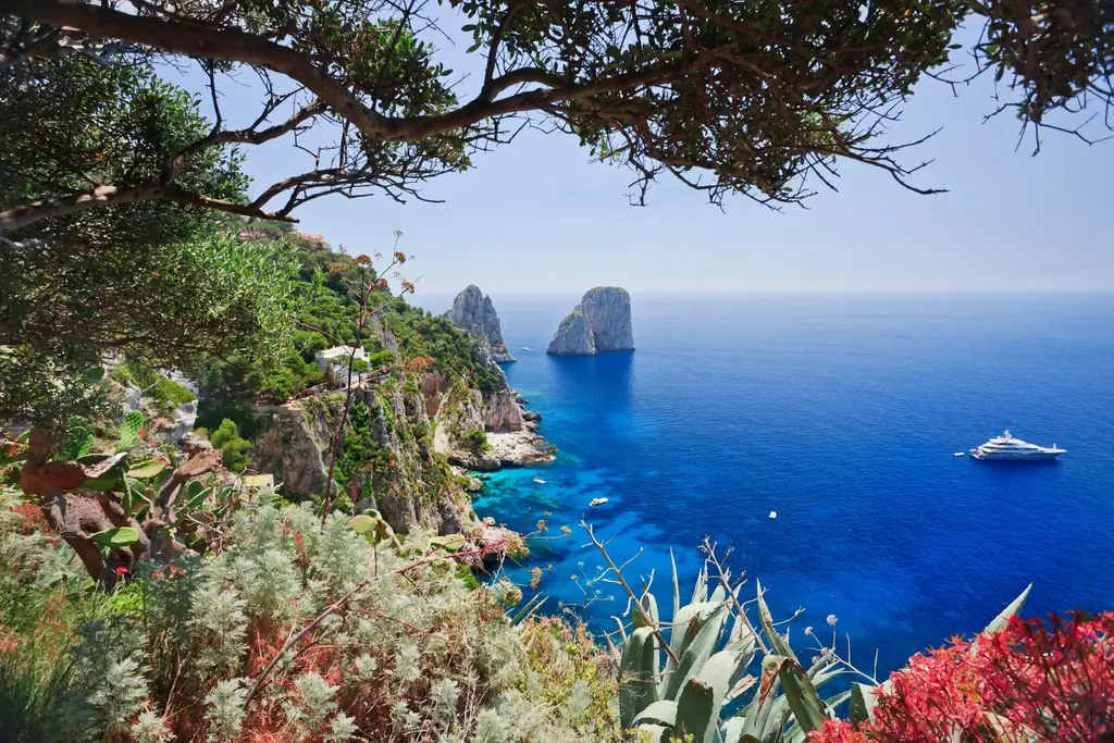 # 6-Capri_AWL_ITA1478AW