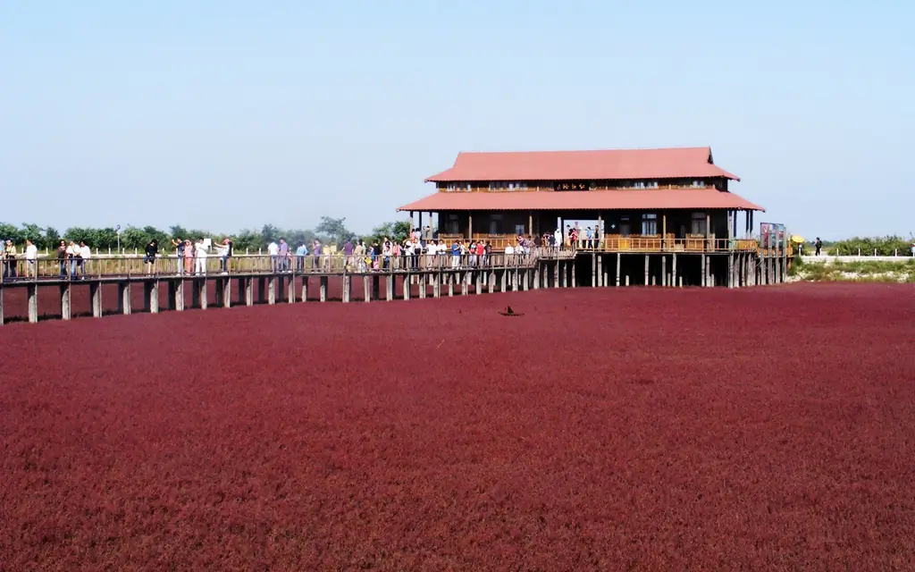 Красный пляж, Паньцзинь, Китай