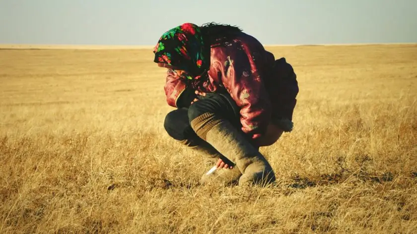 Скриншот фильма ондог