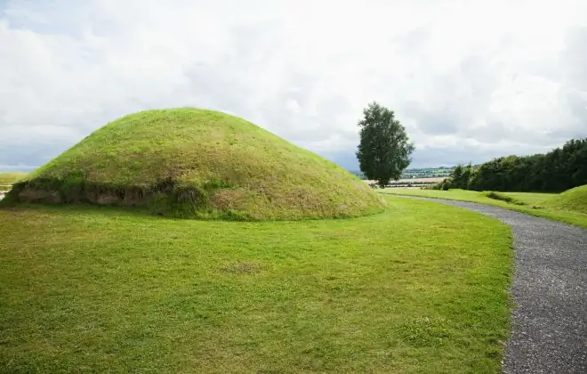 Выигрыш доисторической лотереи, Ирландия