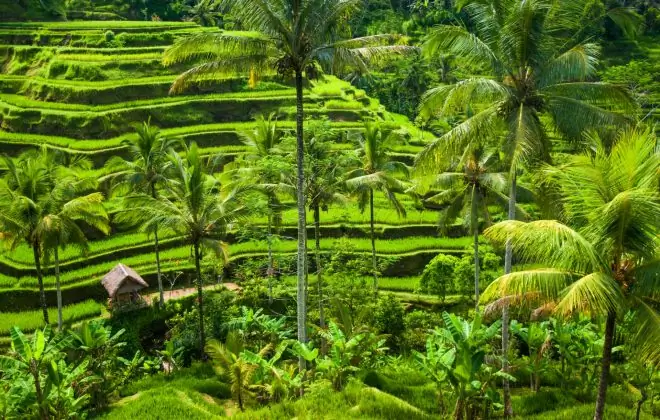 Откройте Индонезию: наш фильм недели