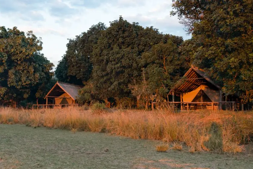 Flatdogs-палатка-устойчивое сафари в Замбии