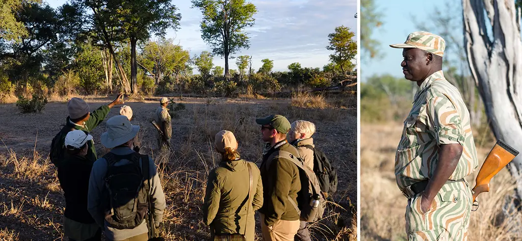 сафари фотография - попробуйте исследовать пешком