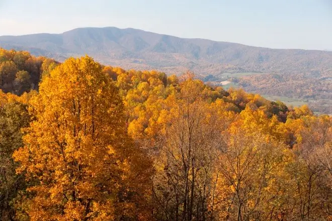 Цвета осени, Skyline Drive, Национальный парк Шенандоа, Вирджиния