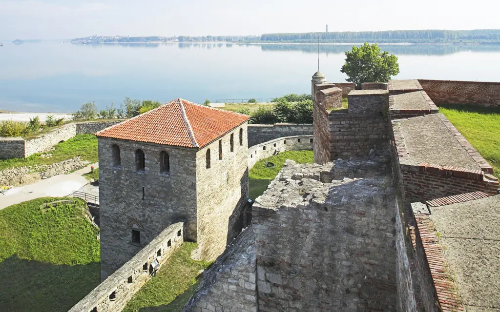 Баба Вида, Болгария
