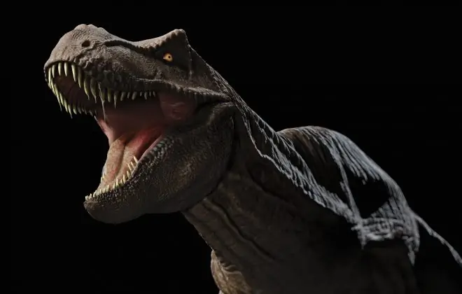 Охота на динозавров в Сукре, Боливия