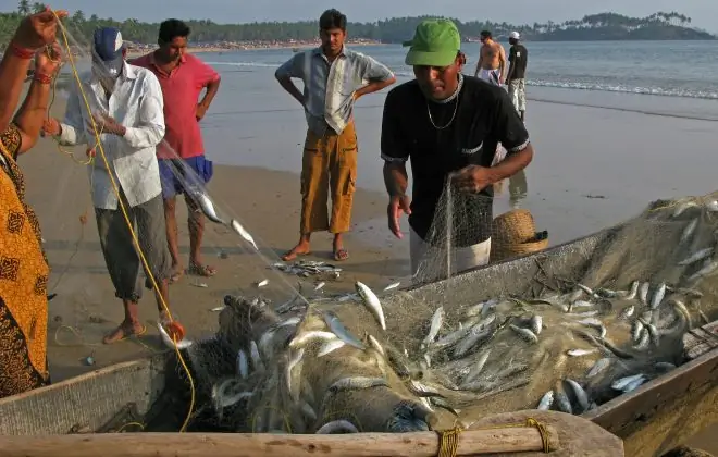 Перевозка на ужин в Гоа, Индия