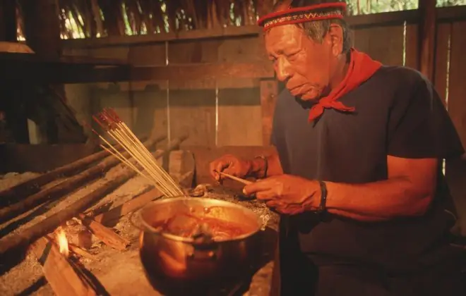 Общение с амазонским шаманом, Перу