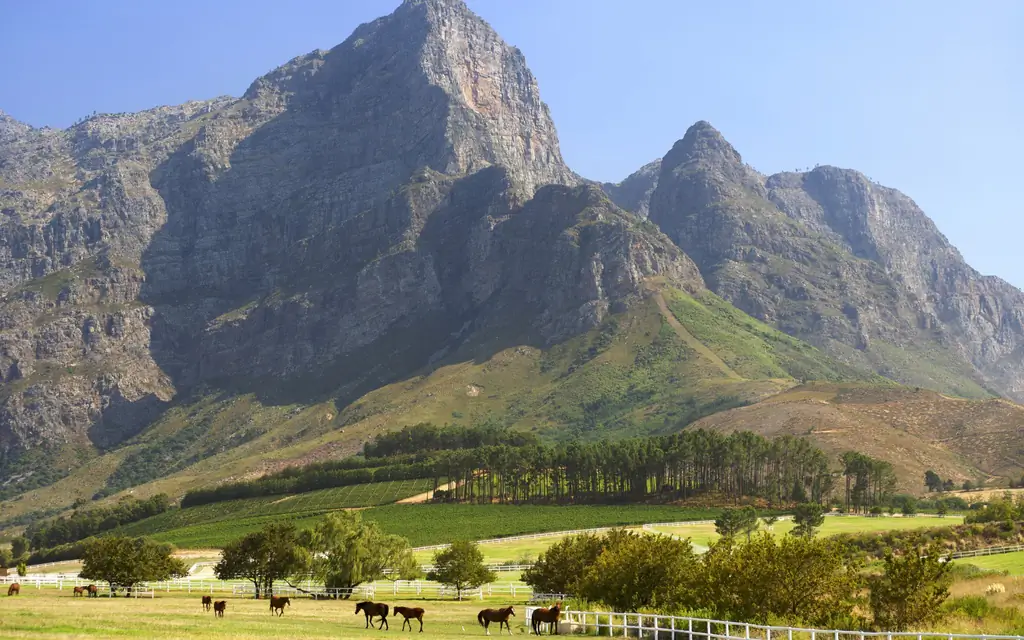 Winelands, Южная Африка