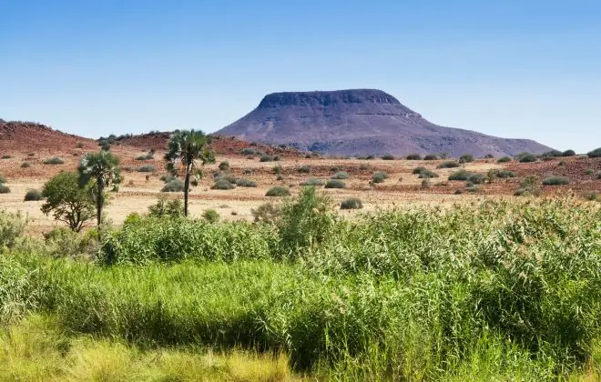 Восхождение на Столовую гору, Южная Африка