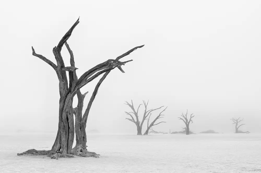 Deadvlei, Национальный парк Намиб Науклуфт, Намибия