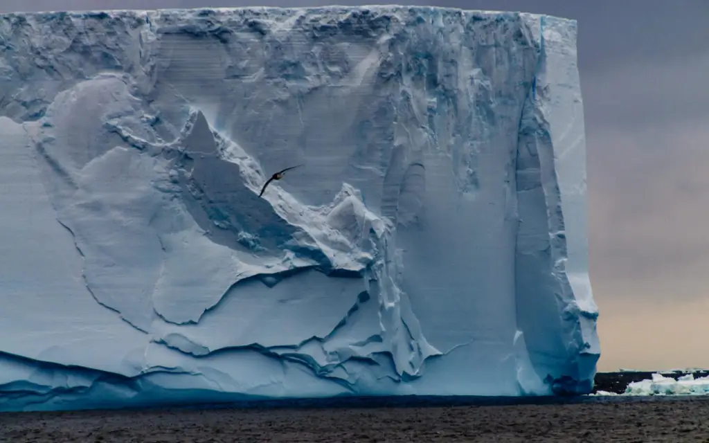 20 знаменитых путешествий по миру: море Уэдделла, Антарктида